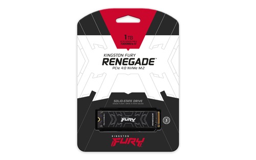 KINGSTON SSD  FURY RENEGADE 1TB M.2 PCIe NVMe Gen 4.0 - immagine 5