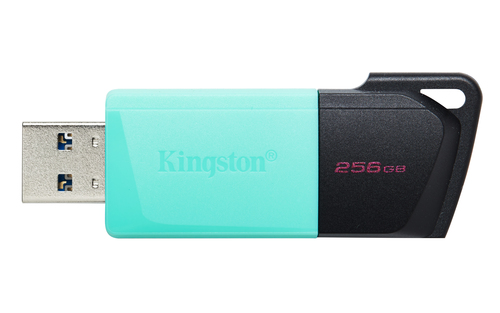 PEN DRIVE KINGSTON DTXM/256GB EXODIA M USB 3.2 - immagine 3