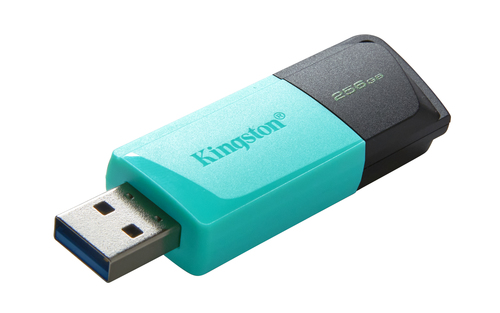 PEN DRIVE KINGSTON DTXM/256GB EXODIA M USB 3.2 - immagine 5
