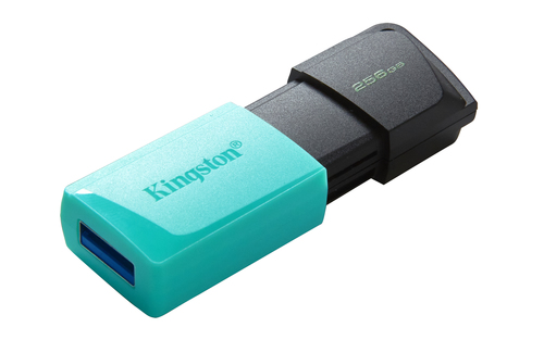 PEN DRIVE KINGSTON DTXM/256GB EXODIA M USB 3.2 - immagine 4