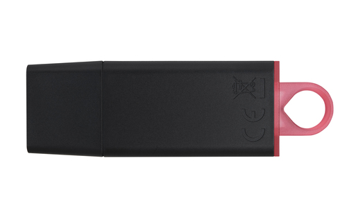 PEN DRIVE KINGSTON DTX/256GB EXODIA USB 3.2 - immagine 2