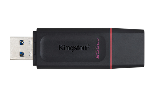 PEN DRIVE KINGSTON DTX/256GB EXODIA USB 3.2 - immagine 3