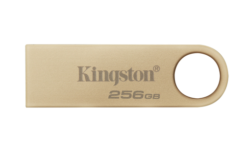 PEN DRIVE KINGSTON DTSE9G3/256GB USB 3.2