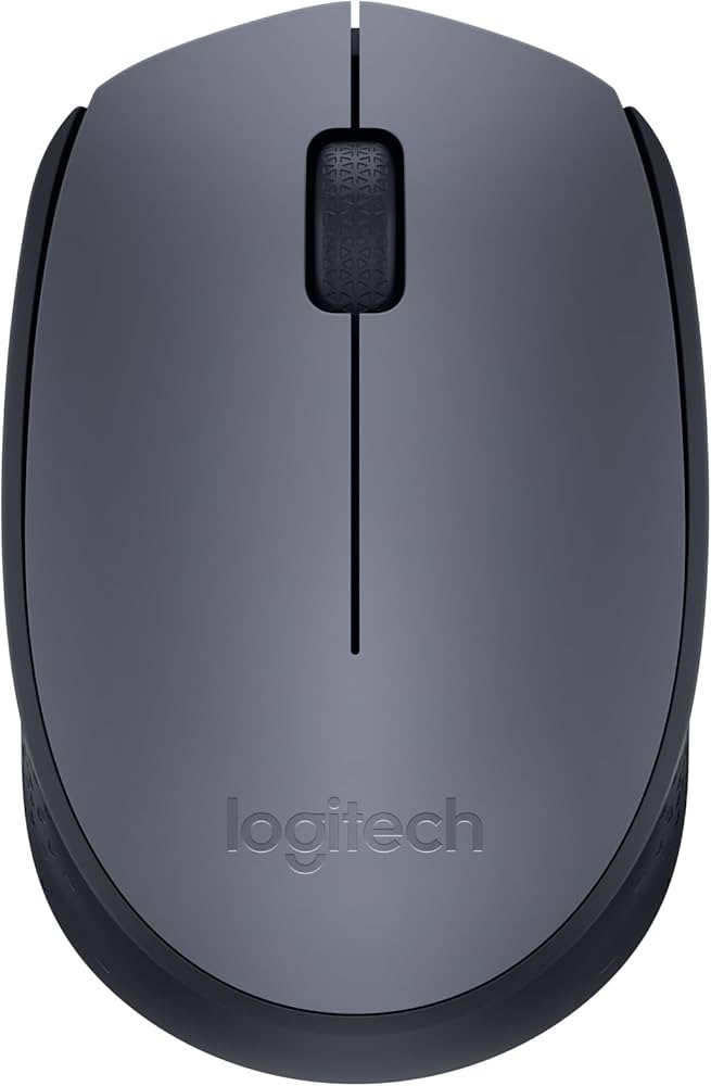 MOUSE LOGITECH M170 W/L USB 2.0